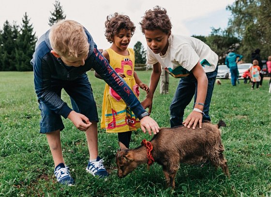 Naturel Hoteldorf SCHÖNLEITN - Kinder im Streichelzoo