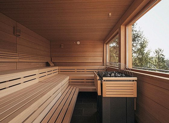 Naturel Hoteldorf SCHÖNLEITN - Sauna