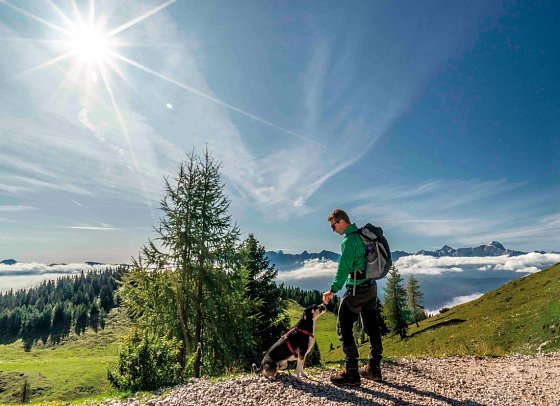 Naturel Hoteldorf SCHÖNLEITN - Wandern mit Hund