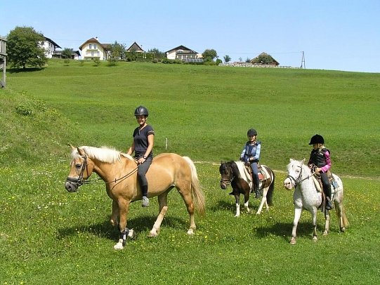 Familienparadies Reichenhauser - Ponyreiten