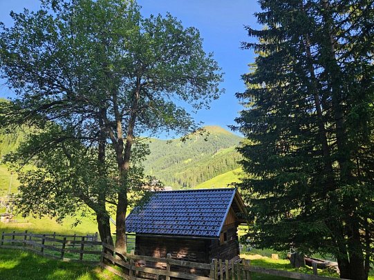 Familienhotel Nockalm - Landschaft