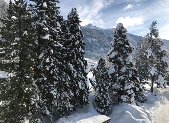 Gasthof Fair - winterliche Landschaft