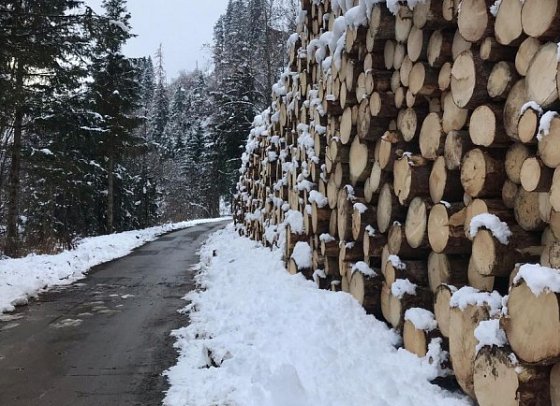 Gasthof Fair - verschneite kleine Straße mit Holzstoß