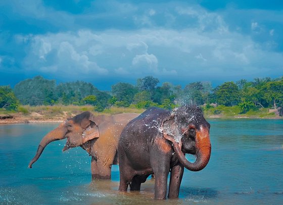 Nepal Rundreise - Chitwan NP