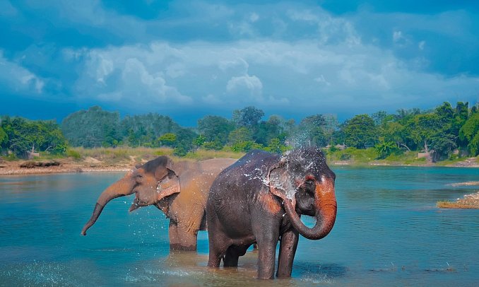 Nepal Rundreise - Chitwan NP