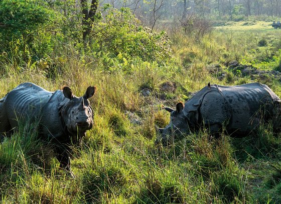 Nepal Rundreise