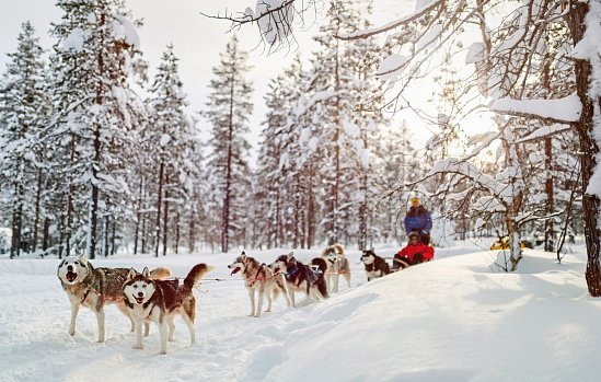 Polarträume & Schneeabenteuer in Finn. Lappland
