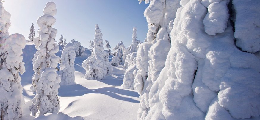 Polarträume & Schneeabenteuer in Finn. Lappland