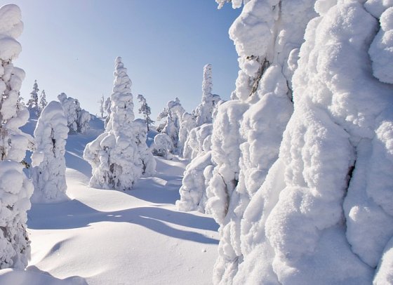 Finnland Nordlichter & Kulinarik