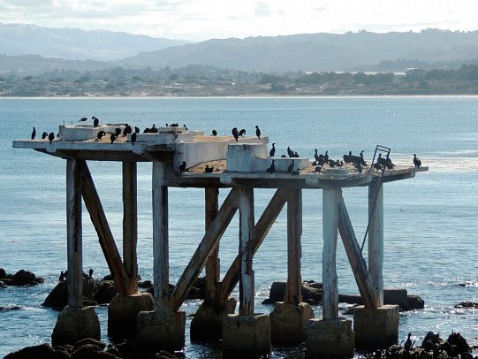 USA Westküste & Nationalparks