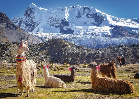 Rundreise Peru Pur - Anden