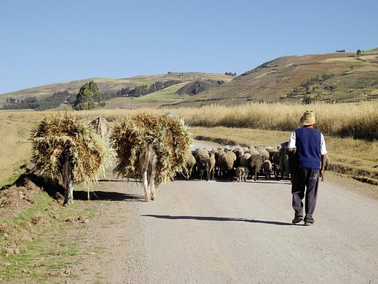 Rundreise Peru Pur