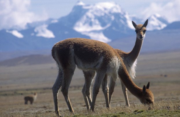 Rundreise Peru Pur