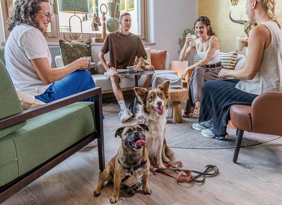 Aldiana Club Ampflwang - Hunde