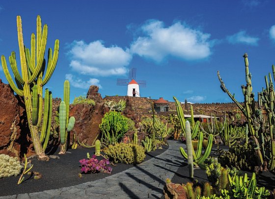 Kanaren & Madeira mit Costa Smeralda - Lanzarote