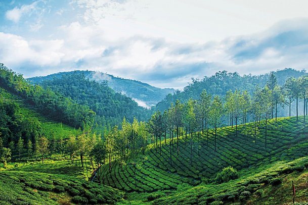 Rundreise Faszinierendes Südindien - Periyar Nationalpark