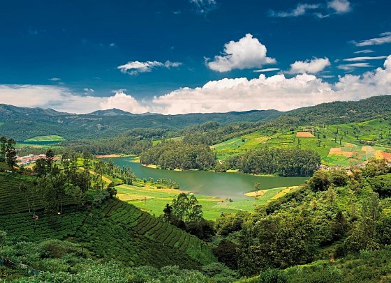 Rundreise Faszinierendes Südindien - Nilgiri-Bergen
