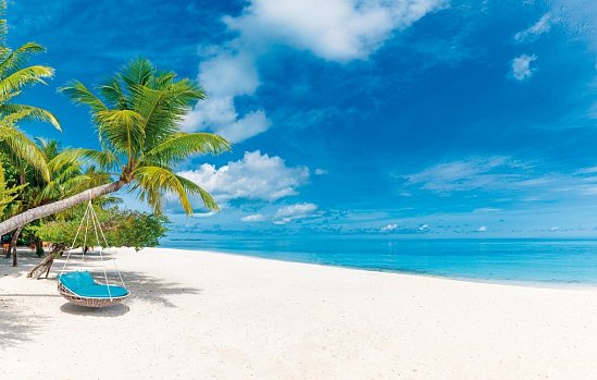 Florida & Karibik mit Enchanted Princess