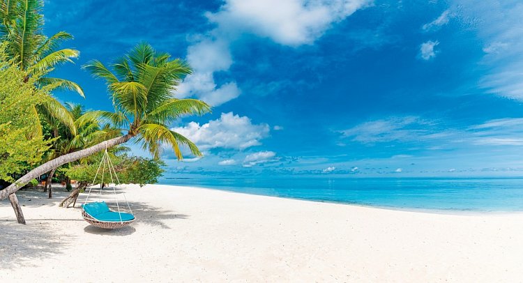 Florida & Karibik mit Enchanted Princess