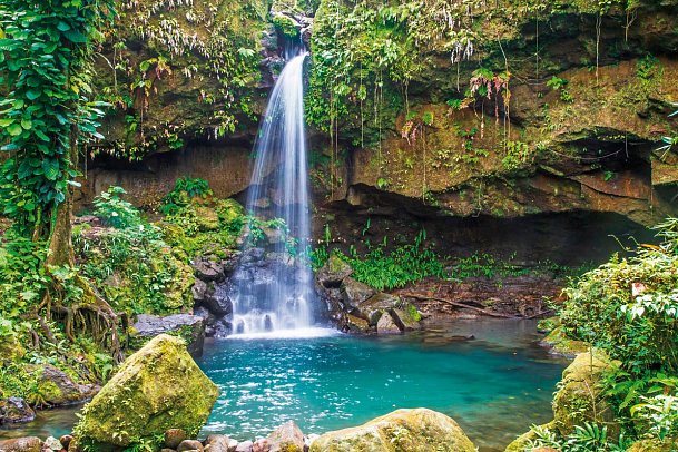 Florida & Karibik mit Enchanted Princess - Emerald Pool, Dominica