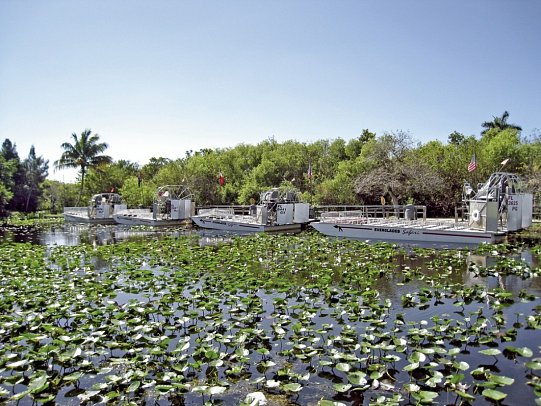Rundreise Florida Sunshine State mit Strandverlängerung - Everglades Safari Park