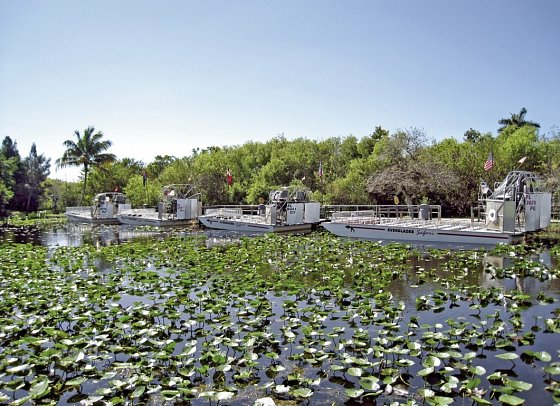 Rundreise Florida Sunshine State mit Strandverlängerung - Everglades Safari Park
