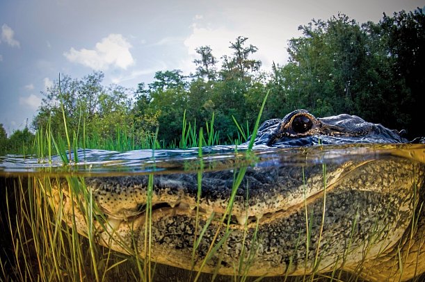 Rundreise Florida Sunshine State mit Strandverlängerung - Everglades Nationalpark