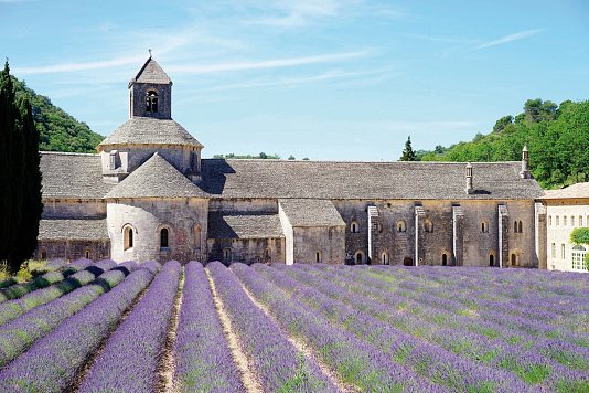 Provence Savoir vivre - in Frankreichs schönster Region