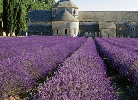 Rundreise Die schönsten Seiten Südfrankreichs - Provence und Cote d´Azur - Abtei von Sénanque