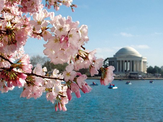 Rundreise Sehenswürdigkeiten des Osten - Washington D.C., Jefferson Memorial