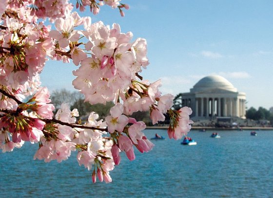 Rundreise Sehenswürdigkeiten des Osten - Washington D.C., Jefferson Memorial