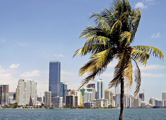 Manhattan Express & Florida Sunshine State & Beach - Miami