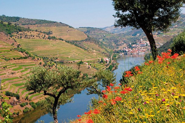 Douro-Tal & Galicien mit Duoro Queen - Douro Pinhao Landschaft