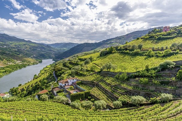 Rundreise Portugal & Galicien - Douro Tal