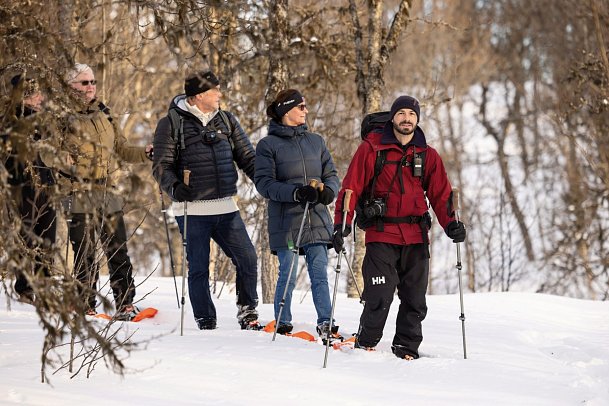 Nordlichter - mit Hurtigruten Signature Nordkap-Linie MS Trollfjord