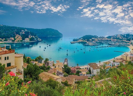 Standortrundreise zu Mallorcas Mandelblüte - Puerto de Soller