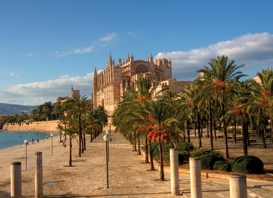 Standortrundreise zu Mallorcas Mandelblüte - Palma de Mallorca