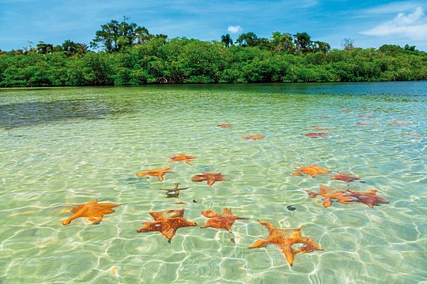 Karibik inkl. Panama und Kolumbien mit AIDAblu - Insel Colón/Bocas del Toro