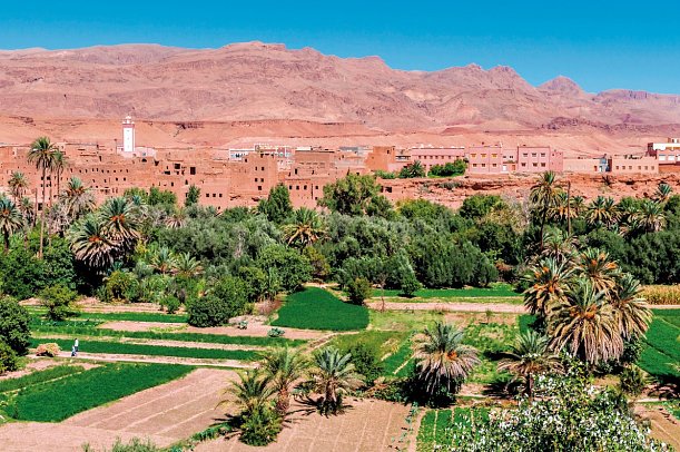 Höhepunkte Marokkos - Oasenstadt Tinerhir