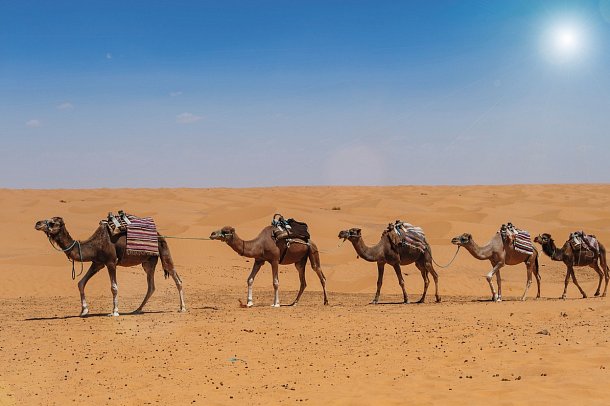 Rundreise Zauberhaftes Marokko – Königsstädte & Wüste