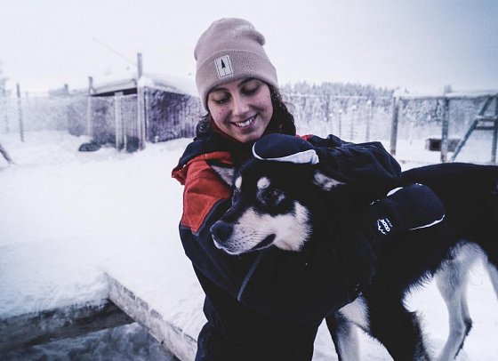 Rundreise Schwedisch Lappland zu Silvester - Husky