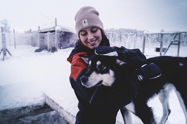 Rundreise Schwedisch Lappland zu Silvester - Husky