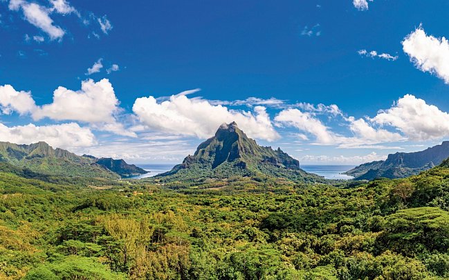 Transpazifik-Kreuzfahrt mit der Crown Princess - Moorea