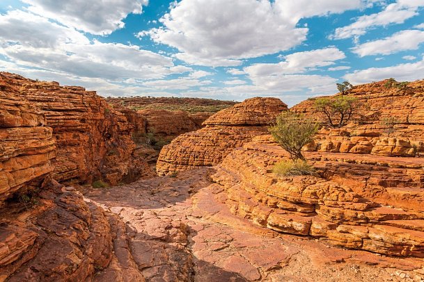 Explorer Rundreise Australien - von Sydney nach Melbourne - Kings Canyon