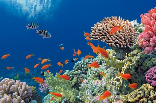 Rundreise Australien - Von Sydney nach Melbourne - Great Barrier Reef