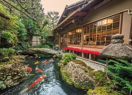 Japan Rundreise von Tokyo nach Osaka - Koi-Teich in Kyoto