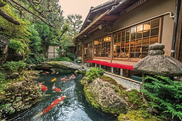 Japan Rundreise von Tokio nach Osaka - Koi-Teich in Kyoto