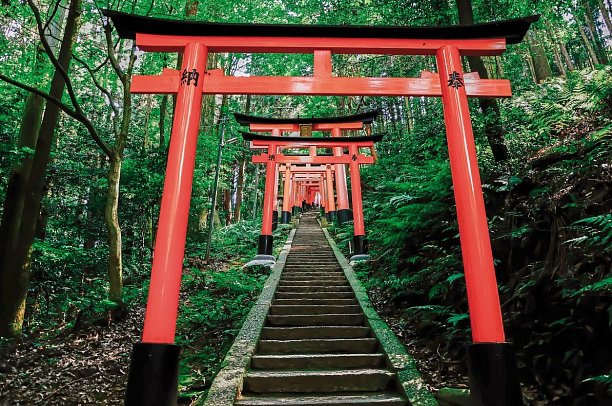 Japan pur mit Diamond Princess - Kyoto, Fushimi-Inari-Schrein