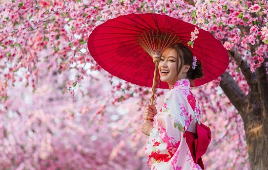 Japan zur Kirschblüte mit Diamond Princess