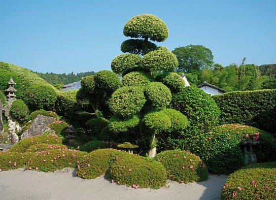 Japan zur Kirschblüte mit Diamond Princess - Chiran, Samurai-Gärten